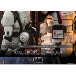 Scout Trooper Commander Hot Toys
