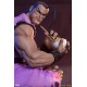 Street Fighter Ryu & Dan PCS Collectibles