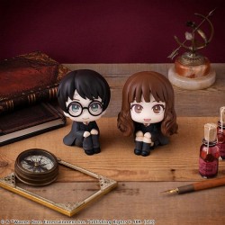 Harry Potter & Hermione Look Up