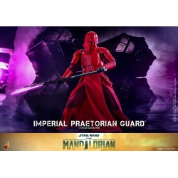 Imperial Praetorian Guard Hot Toys