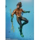 DC Black Aquaman and the Lost Kingdom Aquaman S.H. Figuarts Tamashii Nations