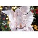 Bell of the Holy Night Good Smile Company